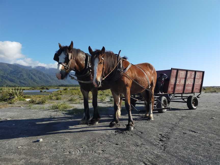 Golden Sands Horse And Wagon Tours, Barrytown, New Zealand