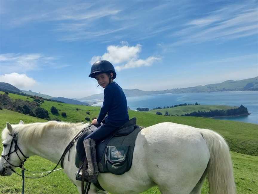 Hare Hill Horse Treks, Port Chalmers, New Zealand