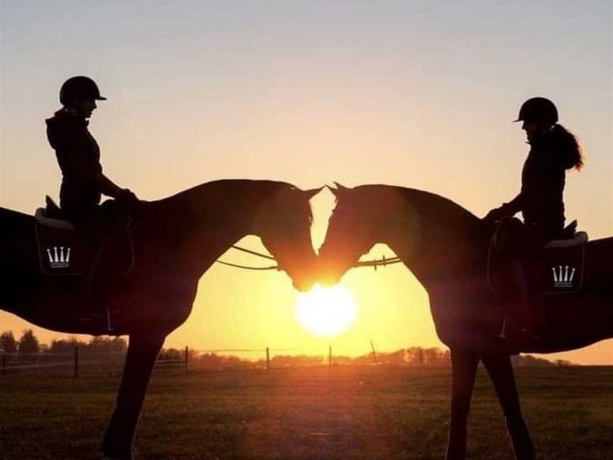 Horse works specialised Training &, Bell Block, New Zealand