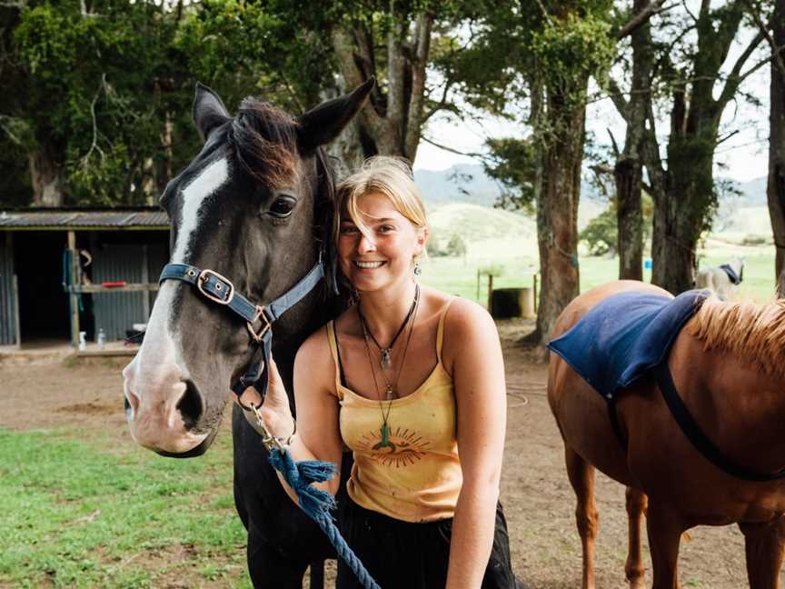 Horse Treks at The Farm, Whangaruru, New Zealand