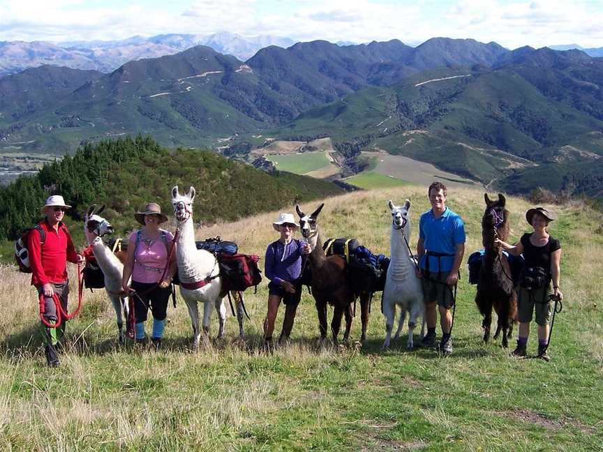 Kaikoura Llama Trekking, Kaikoura, New Zealand