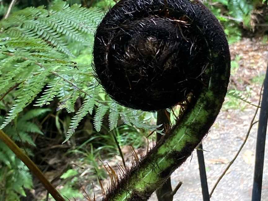 Kapiti Island Eco Experience, Paraparaumu, New Zealand