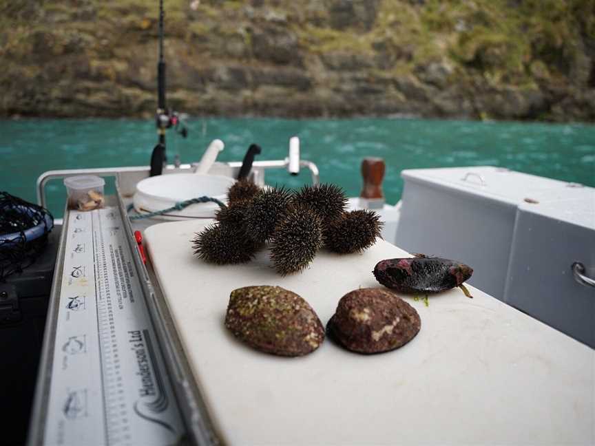 Katabatic Charters, Picton, New Zealand