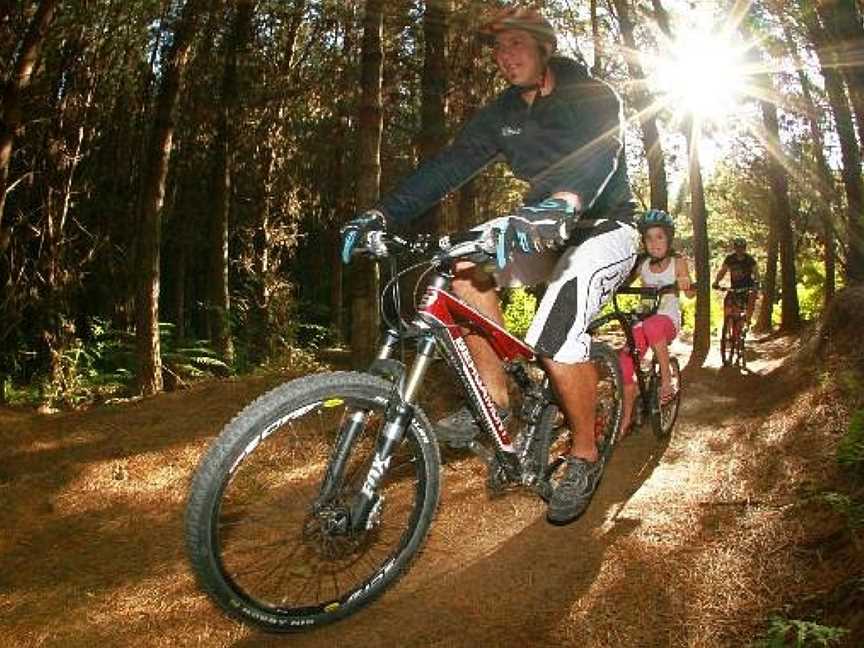 Mountain Bike Rotorua- Day Tours, Rotorua, New Zealand