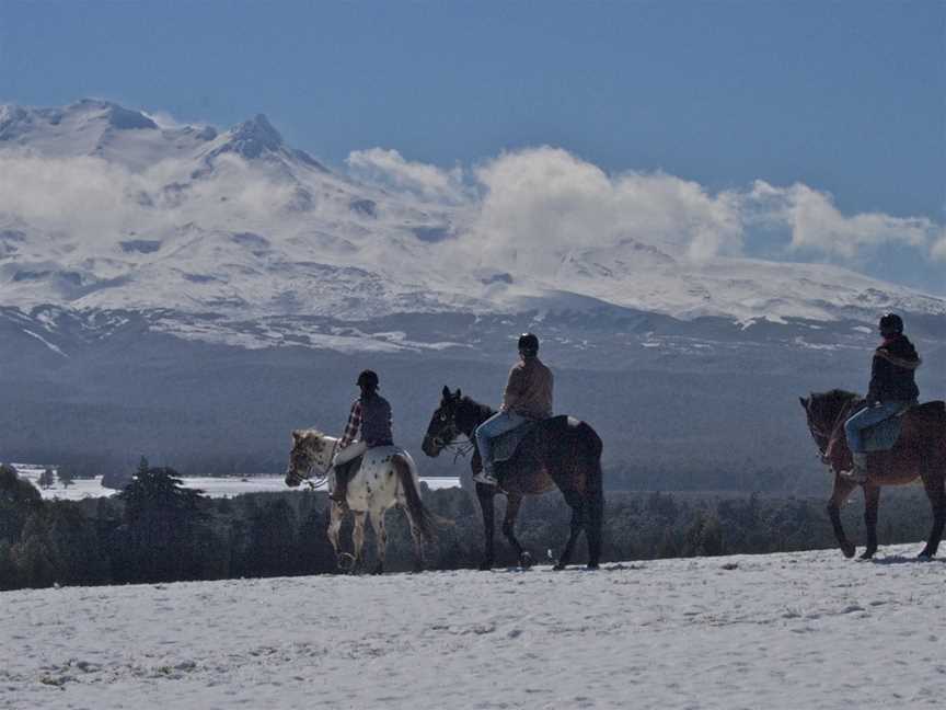 Ruapehu Homestead Horse Treks Ohakune, Ohakune, New Zealand