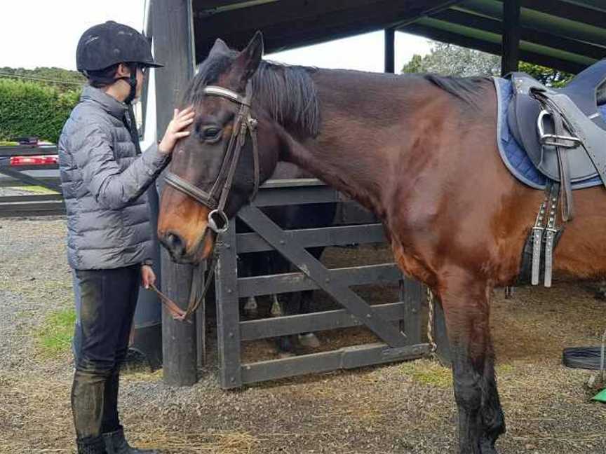 Silver Fern Riding Stables, Waiuku, New Zealand