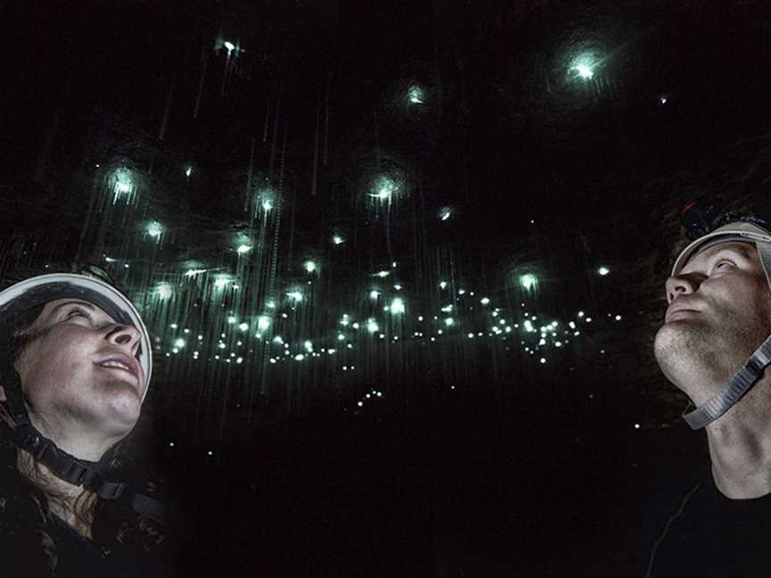 The Charleston Glowworm Cave Tour, Charleston, New Zealand