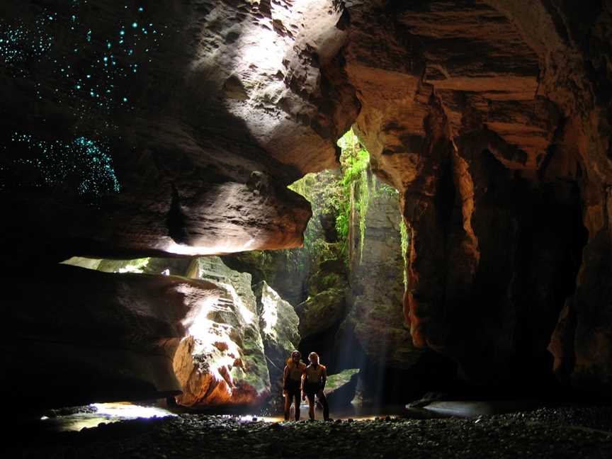 The Charleston Glowworm Cave Tour, Charleston, New Zealand