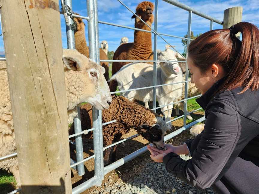 The Shed Farm, Te Anau, New Zealand