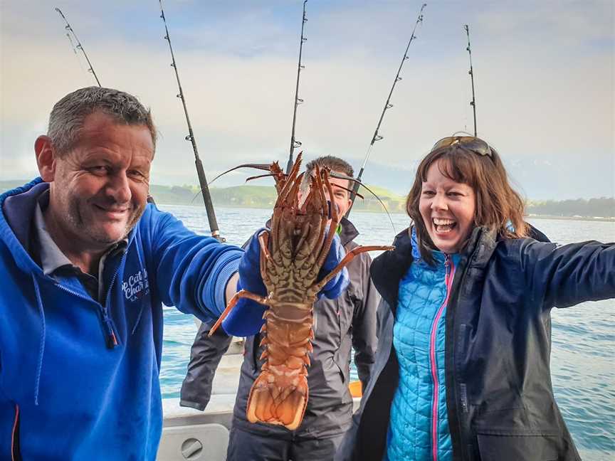 Top Catch Charters - Kaikoura, South Bay, New Zealand