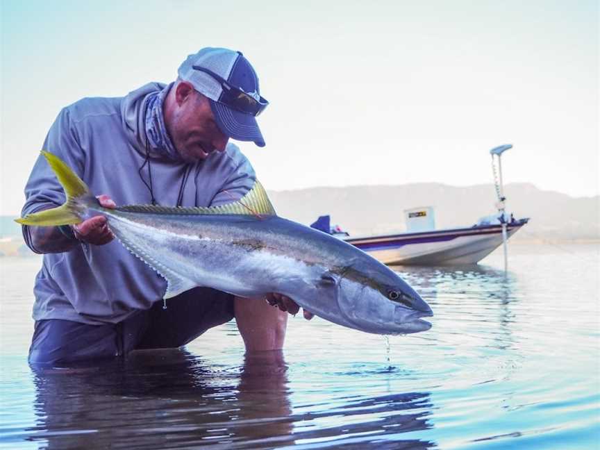 Trippin on Trout, Wharewaka, New Zealand