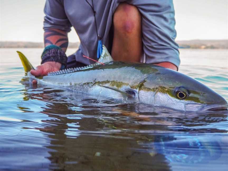 Trippin on Trout, Wharewaka, New Zealand