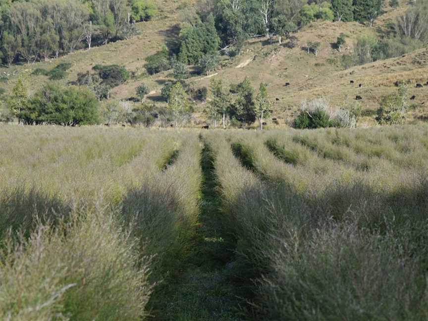 Waikura Joint Stations, Awakaponga, New Zealand