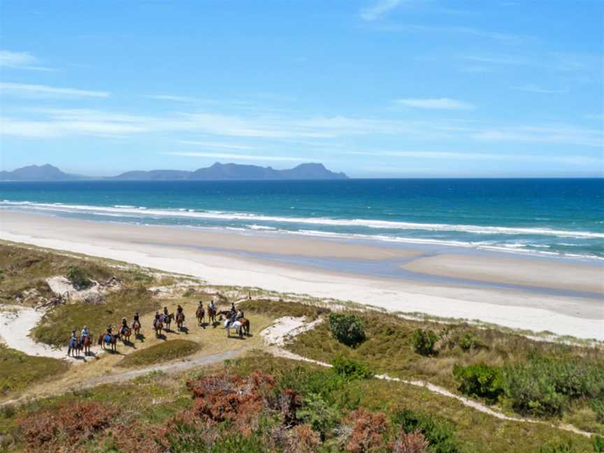 Waipu Horse Adventures, Waipu, New Zealand