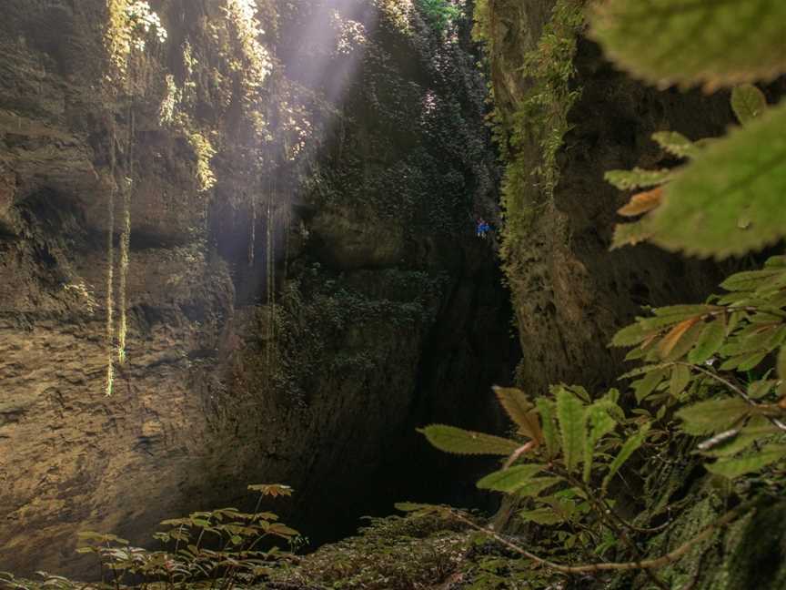 Waitomo Adventures Ltd, Hangatiki, New Zealand