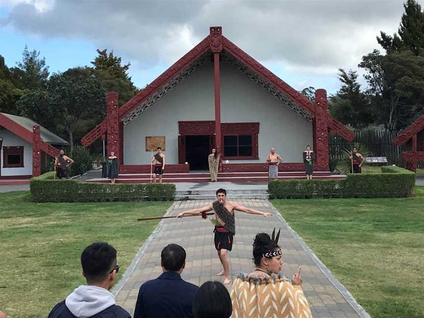 Wicked Wanders Guided Tours, Tauranga, New Zealand