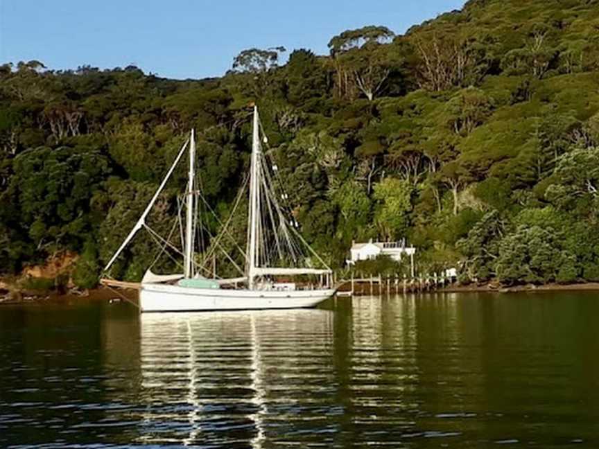 Windborne Sailing Charters, Whitianga, New Zealand