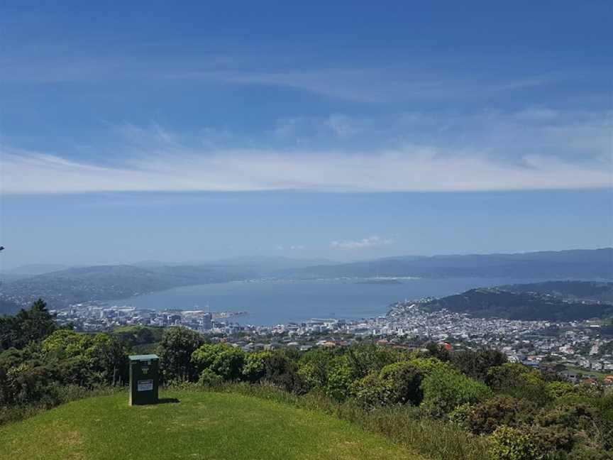 Zozo Travel , Wellington Central, New Zealand