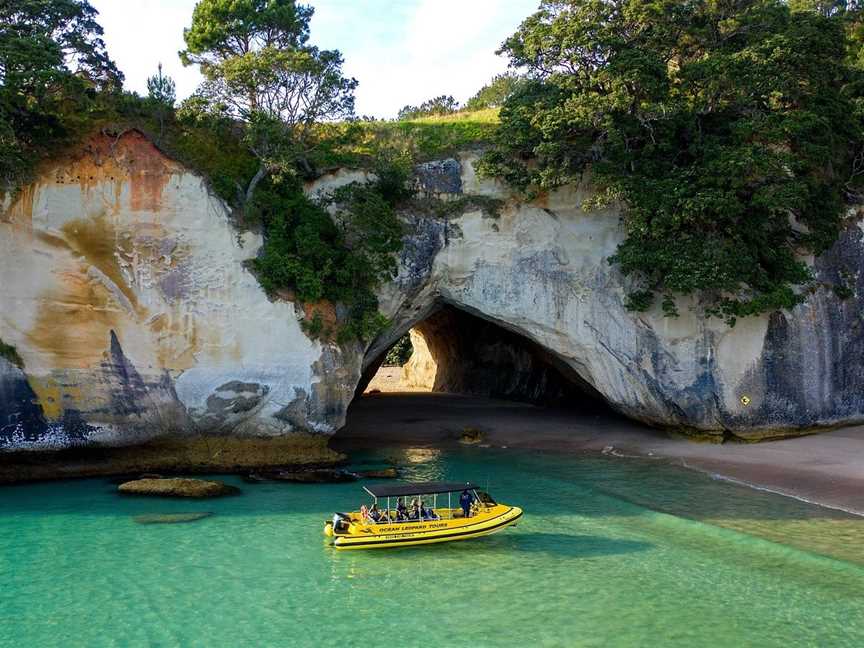 Ocean Leopard Tours Cathedral Cove Boat Tour, Whitianga, New Zealand