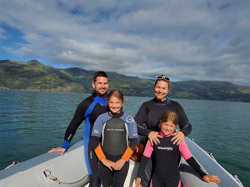 Onuku Farm Hostel Dolphin Swimming, Akaroa, New Zealand