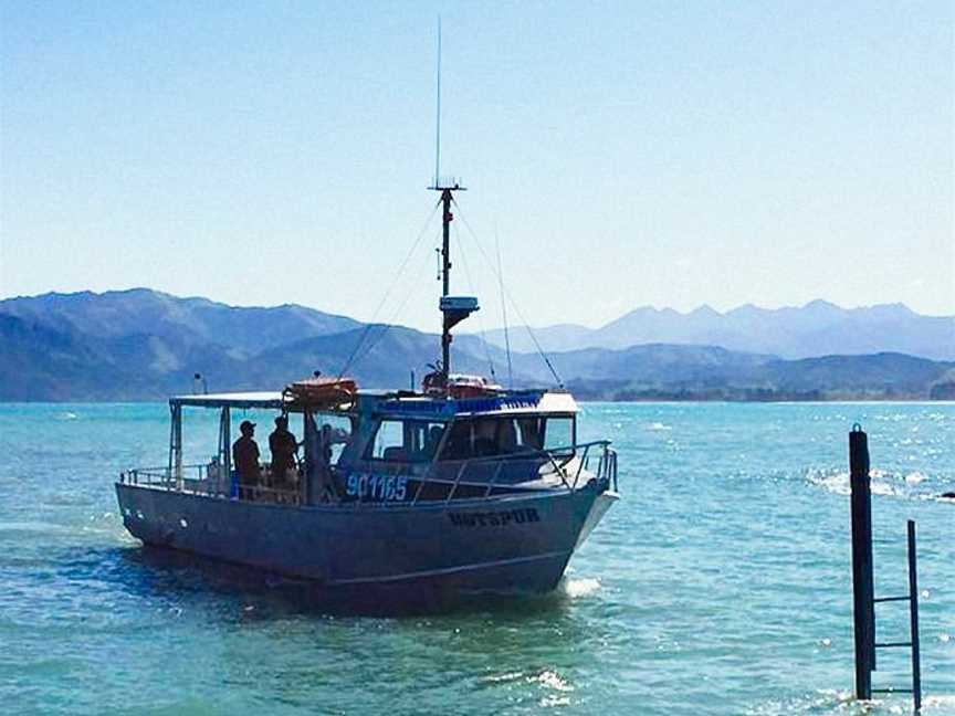 Seamist Fishing Charters, Kaikoura, New Zealand