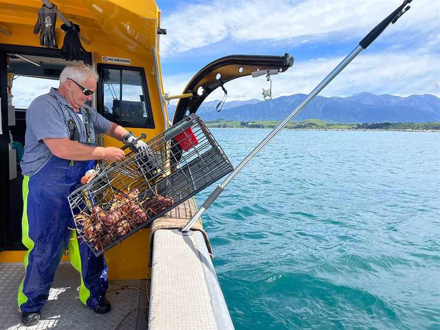 South Bay Fishing Charters, Kaikoura, New Zealand
