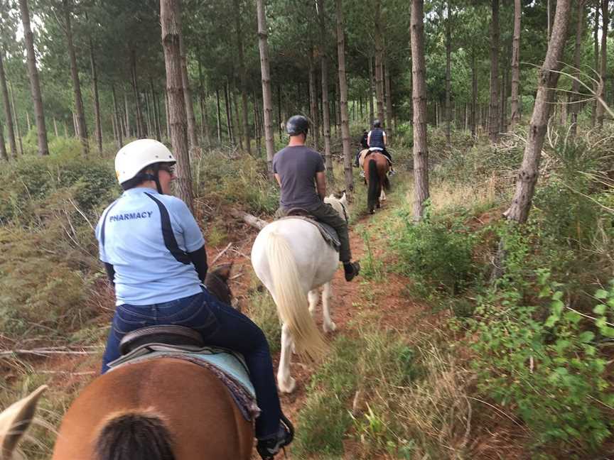 Taupo Horse Treks, Taupo, New Zealand