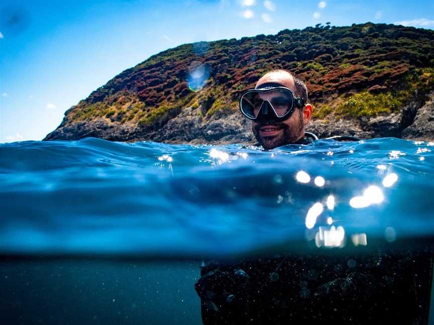 Waiheke Dive and Snorkel, Auckland, New Zealand