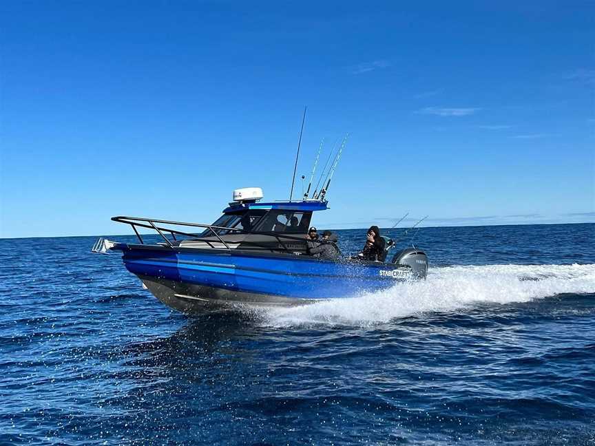 Whitiangler, Whitianga, New Zealand