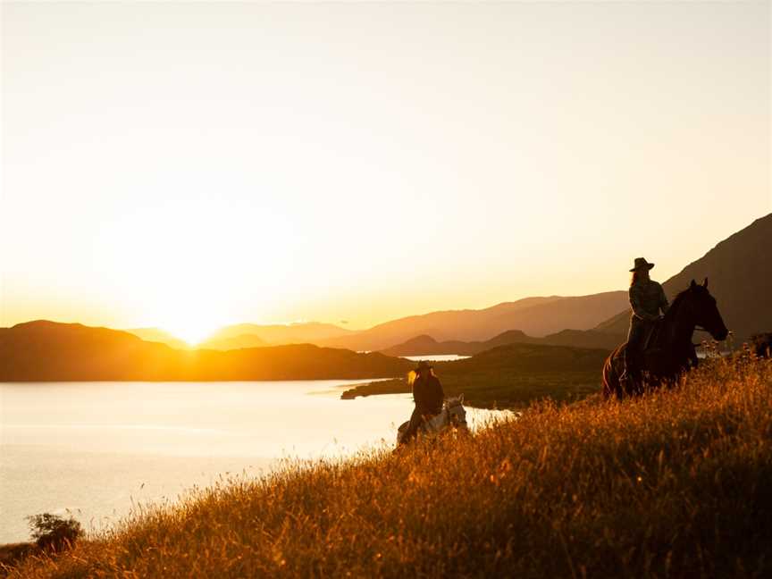 Wanaka Horse Trekking, Wanaka, New Zealand