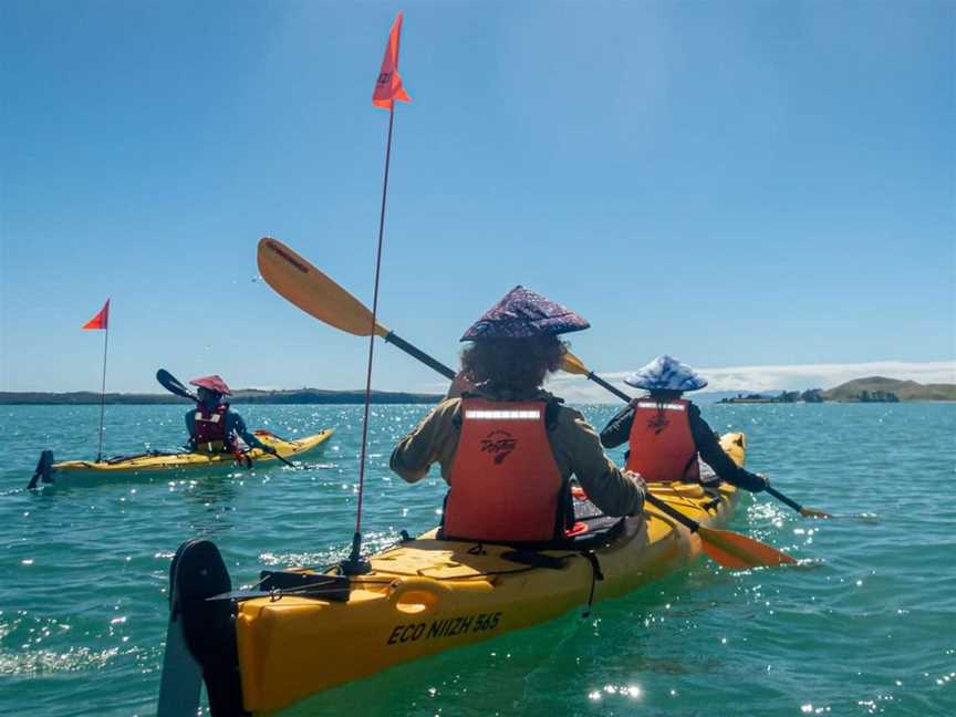Browns Island Motukorea Sea Kayak Tour, Tours in Auckland