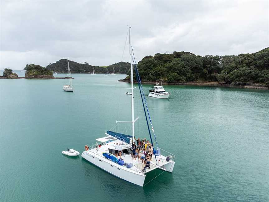 Bayscapes | Luxury Sailing Charters Bay of Islands, Tours in Paihia