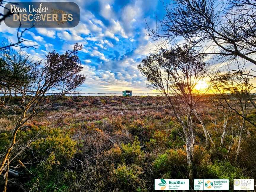 Down Under Discoveries
Nature Based Experiences, Adventures & Eco Tours in Mandurah & throughout Western Australia.