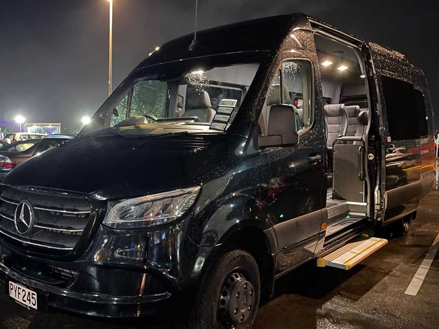 Mercedes Sprinter Bus for Group Tours & Transfers