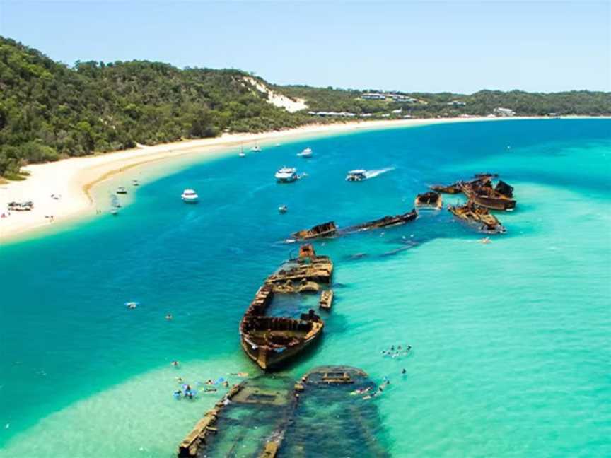 Carnival Cruises | Sydney to Moreton Island return cruises, Tours in Sydney