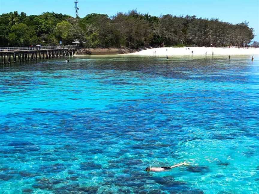 Carnival Cruises | Sydney Great Barrier Reef return cruises, Tours in Sydney