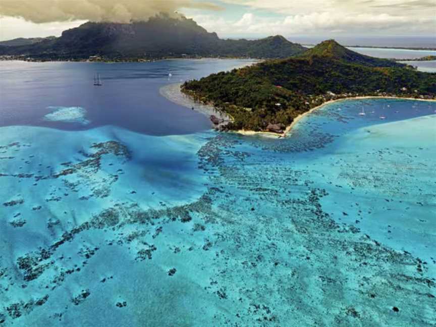Oceania Cruises: Riveria | Sydney to Papeete, Tours in Sydney CBD