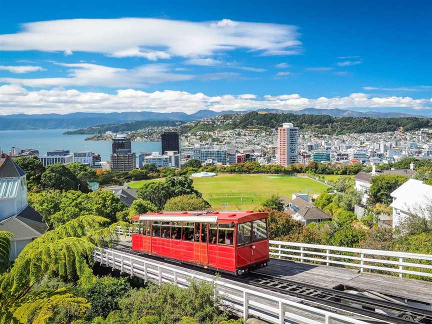 Princess Cruises | Adelaide to New Zealand return cruises, Tours in Adelaide