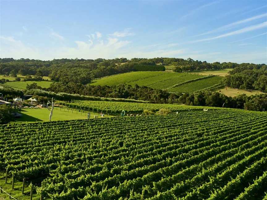 Wine Tours From Melbourne