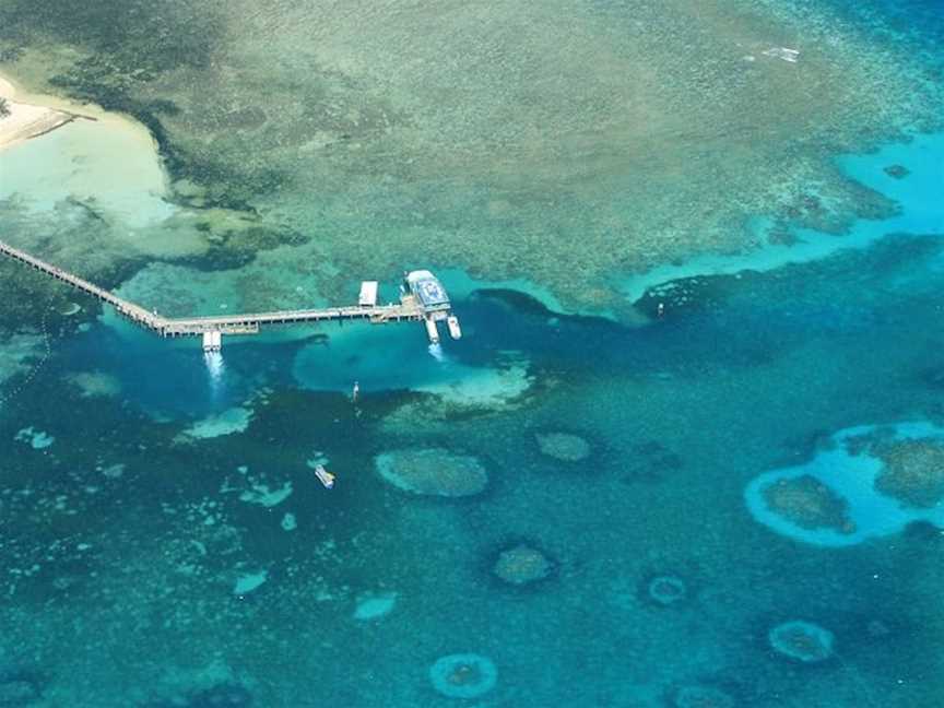 40-Minute Great Barrier Reef Scenic Flight , Tours in Aeroglen