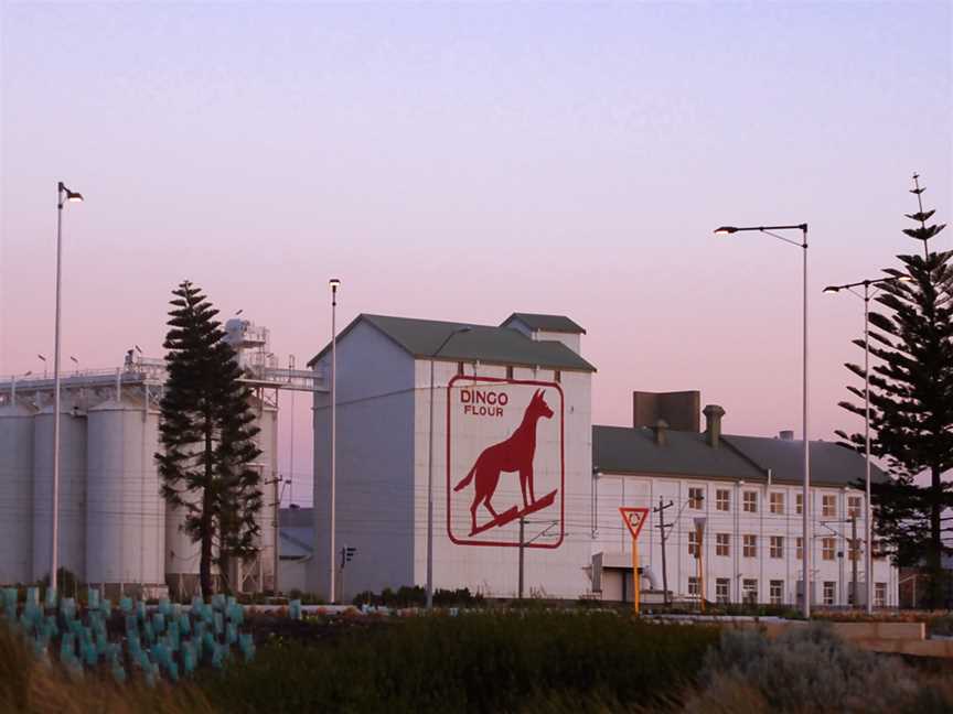 Dingo flour gnangarra.jpg