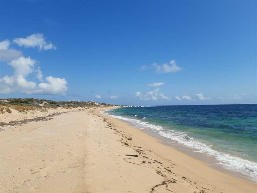 Tims Thicket Beach, February 2020 01.jpg