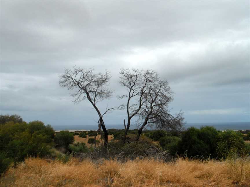 Bushin Western Australia