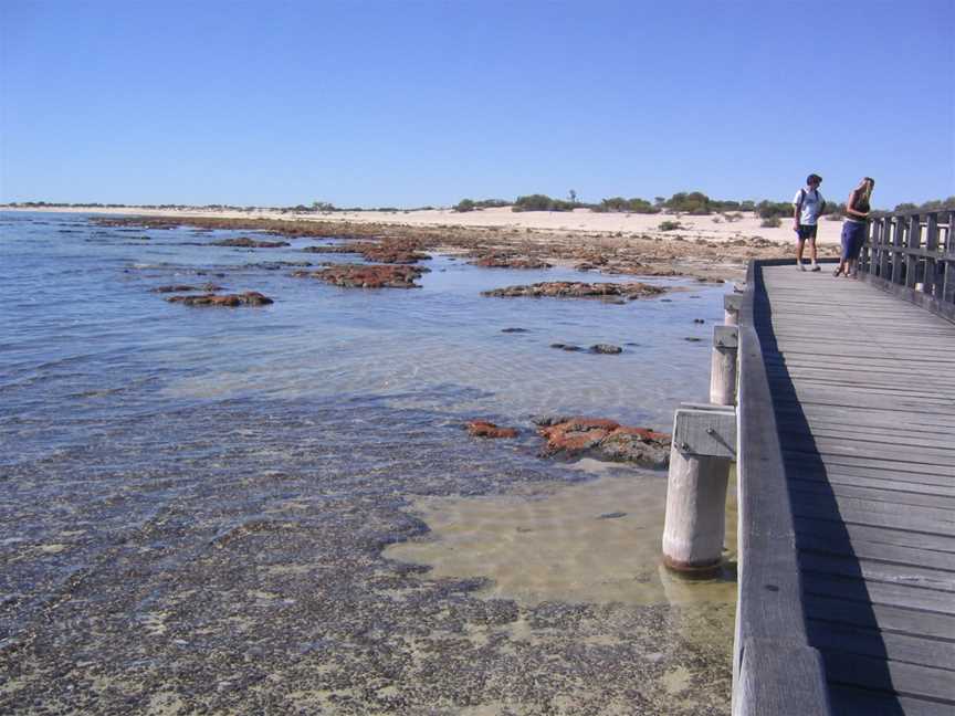 Hamelin Pool( Stromatolites)(2051681681)