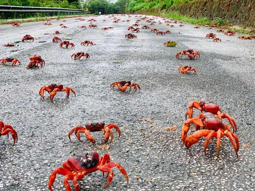 Christmas Island, Towns & Destinations in Christmas Island