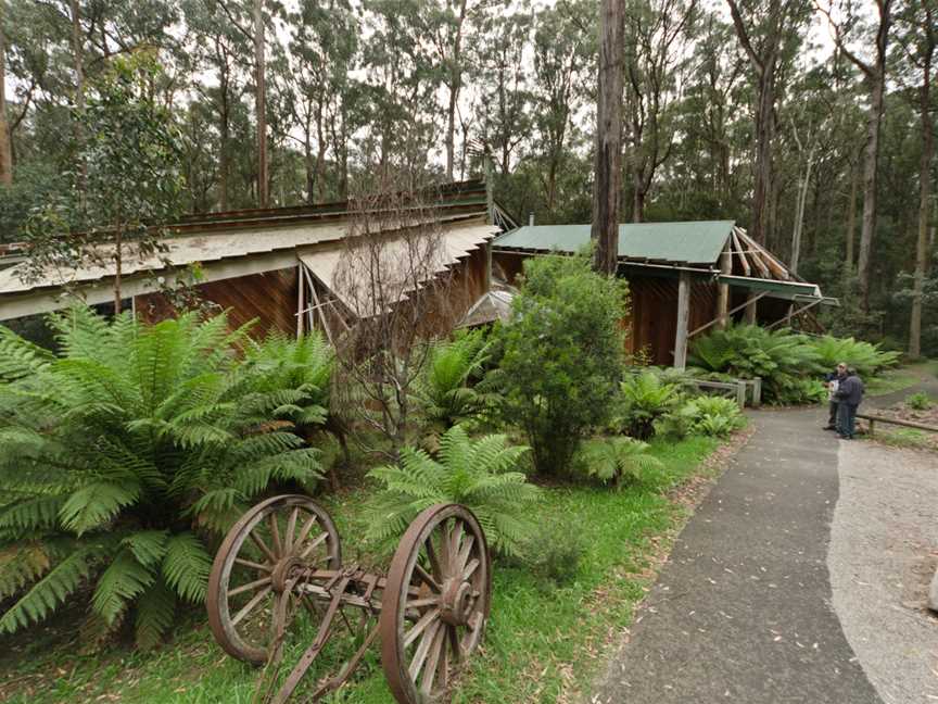 Toolangi Forest Discovery Centre01by Pengo