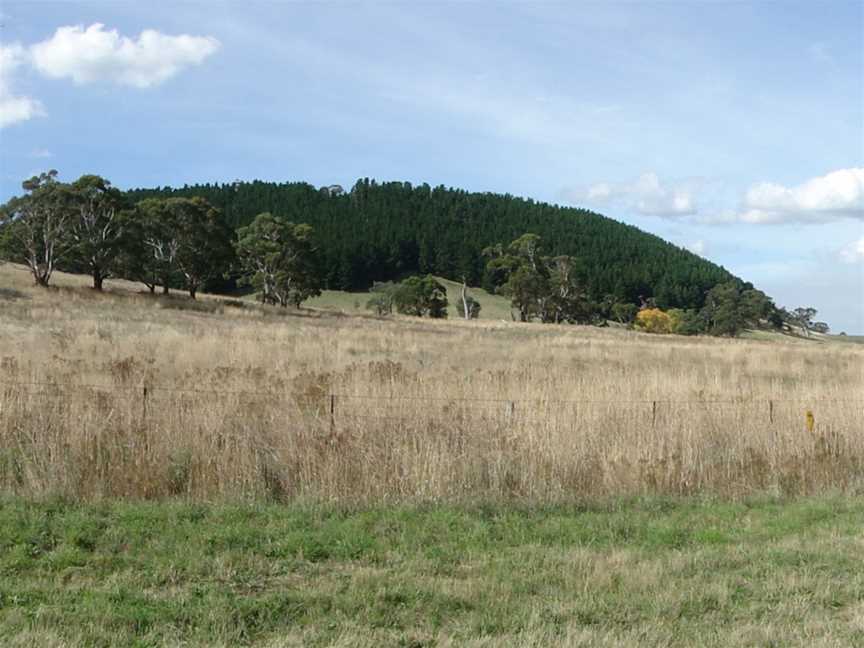 A view of Mount Franklin, Victoria, Australia, an extinct volcano, as seen from the Castlemaine-Daylesford road.
