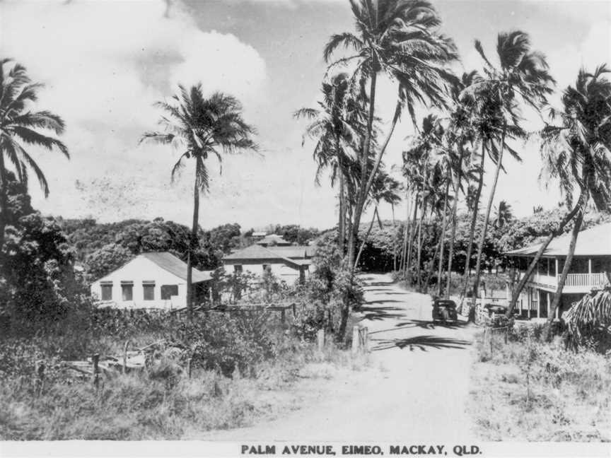 Palm Avenue CEimeo C1950