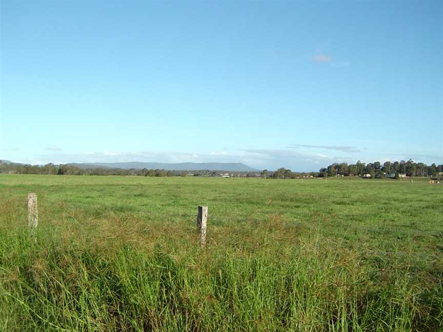 Tamborine Mountain from Chambers Flat.JPG