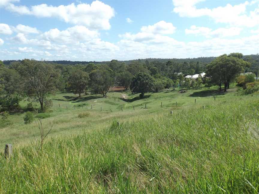 Majella Crescent at Bahrs Scrub, Queensland 2.jpg